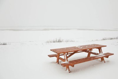 Picnic table above the Moose River