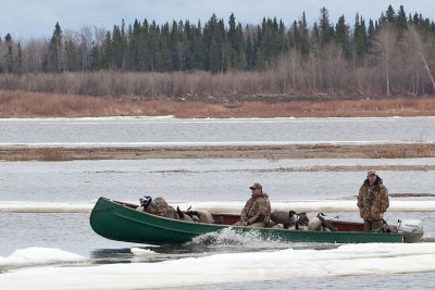 2010 April 16 canoe on the Moose River (1024 pixel crop)