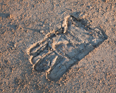 Imprint of glove on the road