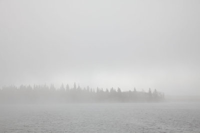 South end of Butler Island on a foggy morning