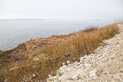Small natural area along shoreline on a foggy morning