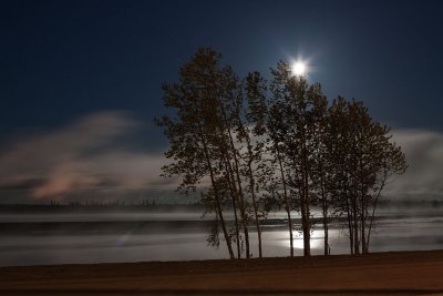 Moon, trees, fog and the Moose River 2010 May 30th