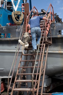 Captain and dog going aboard