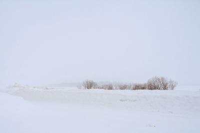 Looking towards Butler Island