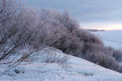 River edge at dawn