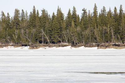 Butler Island shoreline 2006 April 17