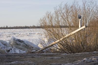 Utility pole knocked down by ice