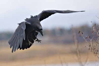 Turning before landing