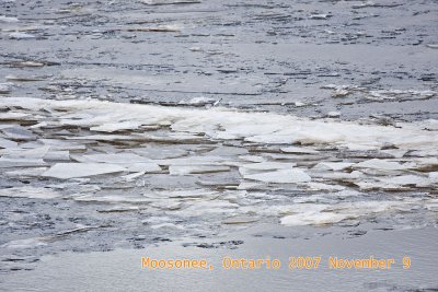 Look what is back on the river.