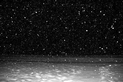 Snow falling 2007 November 29th