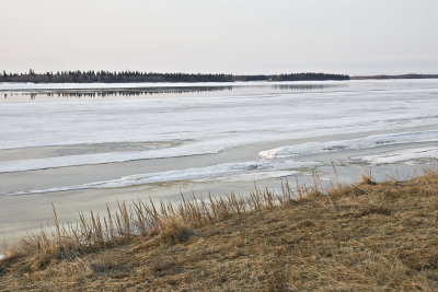 April 22nd view across the Moose River towards Charles Island