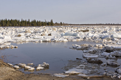 Towards south end of Butler Island