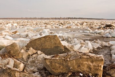 Ice on the Moose River