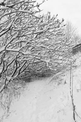 What used to be a path