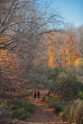 Couple - November 20
