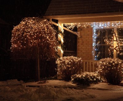 Neighbours lights - November 28