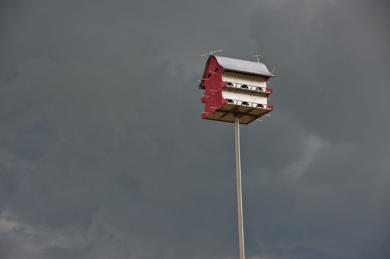08072008-5