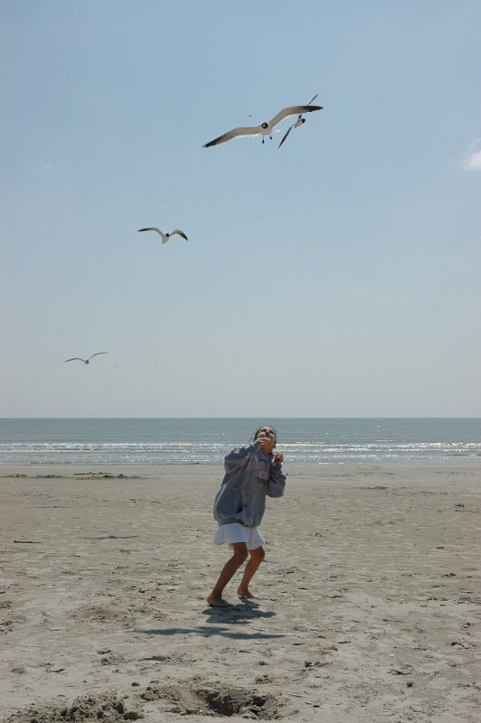 galveston-03172010-047