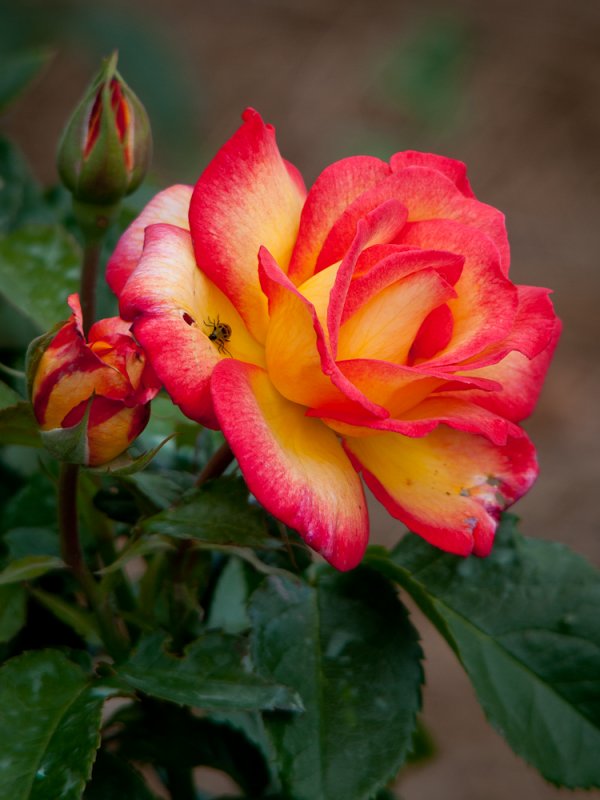 20100522_020