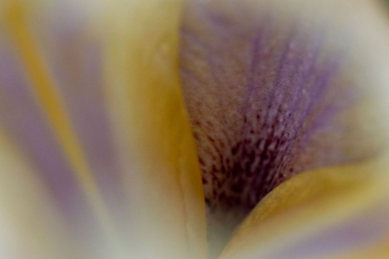 04232008-007