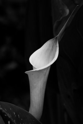 05292010-007