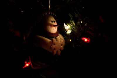 12022007-050.jpg