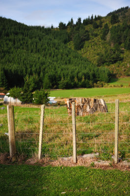 Fence in Rai Valley.jpg