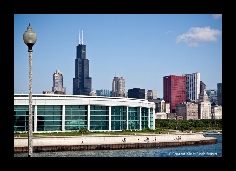 From the Shedd