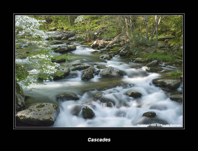 Smoky Mountains