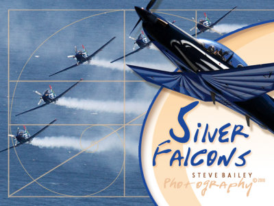 Silver Falcons