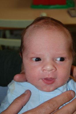 Adrian Malachi Harrison, 3-25-2009 (#2)