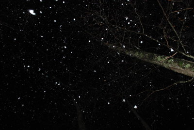 (20100211_190808_nbj_d40x)
