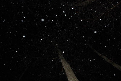 (20100211_190824_nbj_d40x)