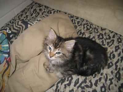 img_5812_rz.jpg