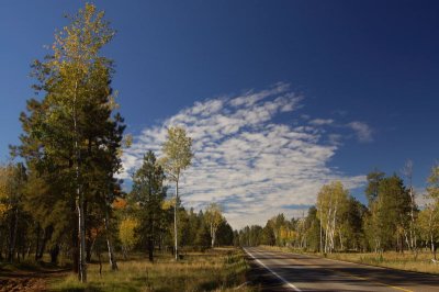 Flagstaff, SR180 (10-1-2005)