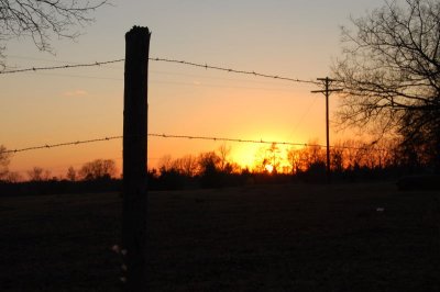 Barbed-wire sunset shot (2-11-2006)