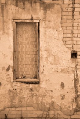 Old Shack in Shreveport LA, 3-29-2008 (#1)