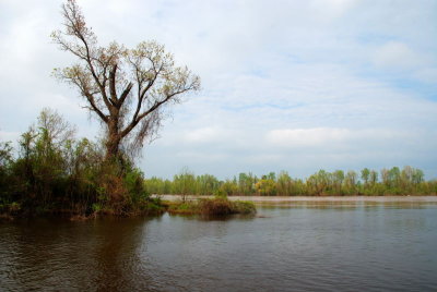 Red River Scenic, 3-29-2008 (#1)