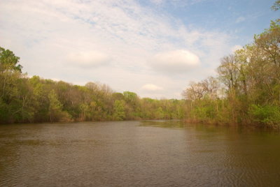 Red River Scenic, 3-29-2008 (#4)