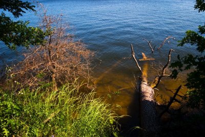 Bob Sandlin State Park, 5-4-2008 (#1)