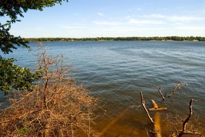 Bob Sandlin State Park, 5-4-2008 (#2)