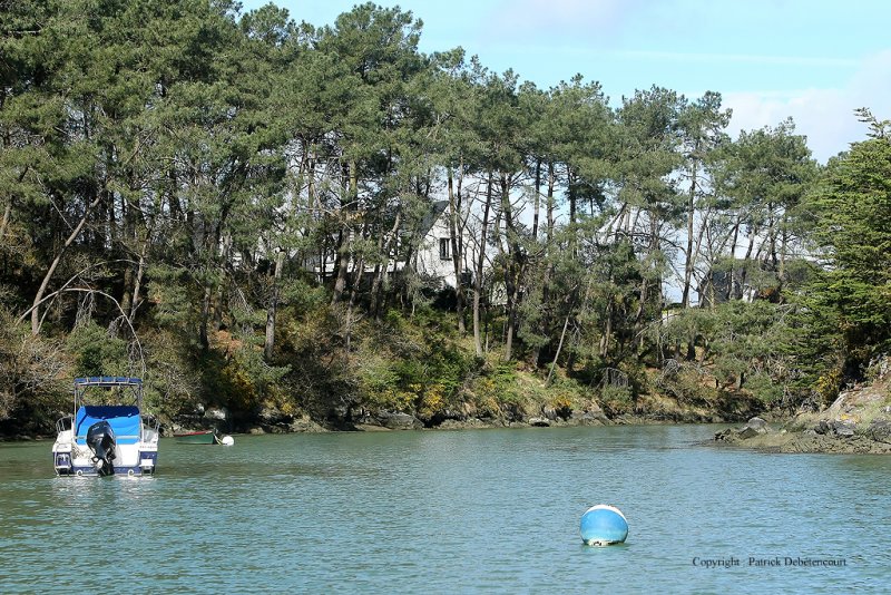 Sur le golfe du Morbihan en semi-rigide - MK3_9518 DxO Pbase.jpg