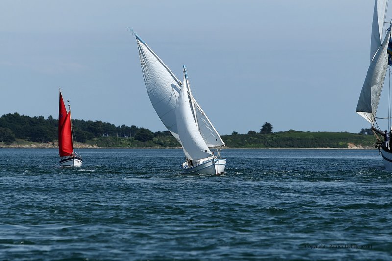 3350 Semaine du Golfe 2009 - MK3_4616 DxO  web.jpg