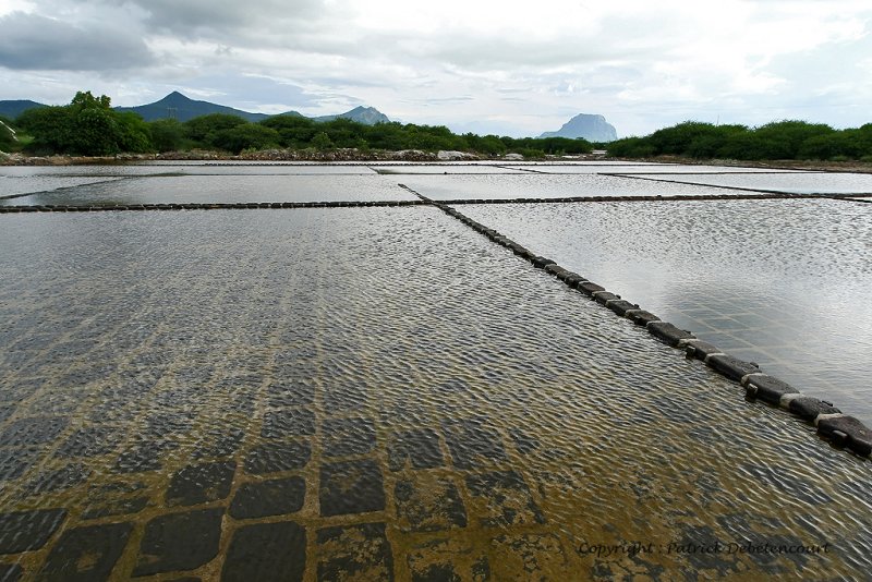 2 weeks on Mauritius island in march 2010 - 261MK3_8084_DxO WEB.jpg