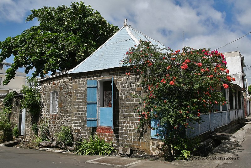 2 weeks on Mauritius island in march 2010 - 457MK3_8292_DxO WEB.jpg