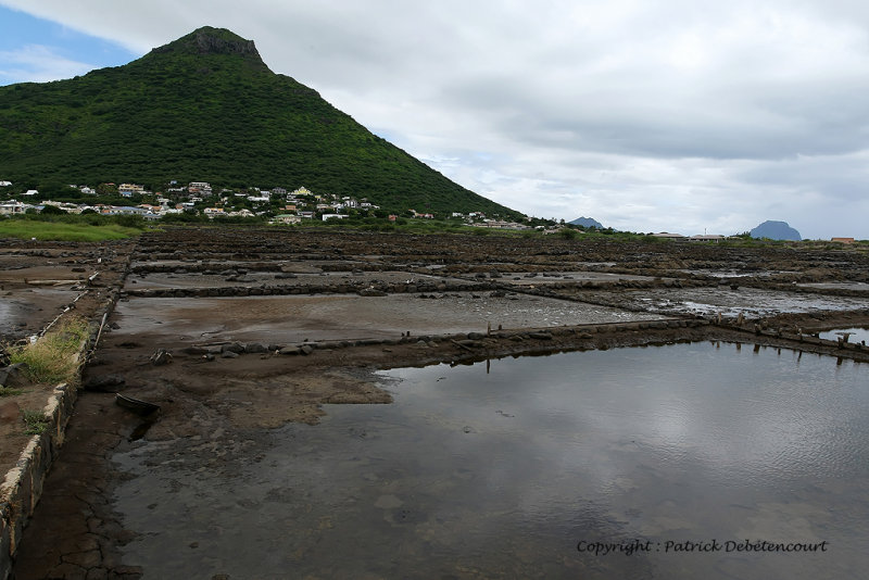 2 weeks on Mauritius island in march 2010 - 572MK3_9552_DxO WEB.jpg