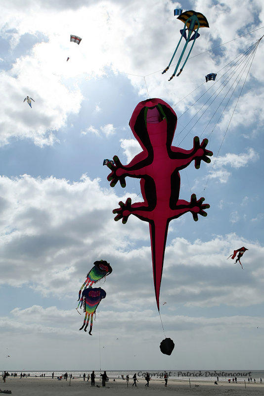 105 Cerfs volants  Berck sur Mer - MK3_7948_DxO WEB.jpg