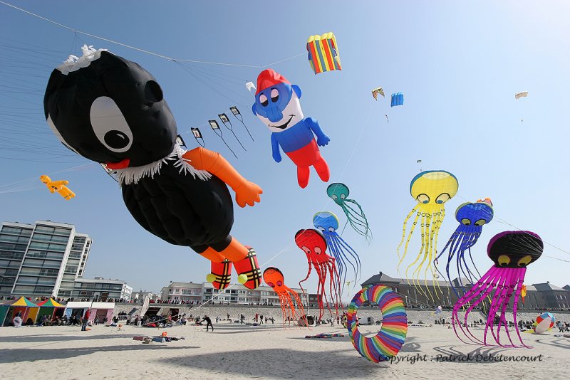 486 Cerfs volants  Berck sur Mer - IMG_3055_DxO WEB.jpg