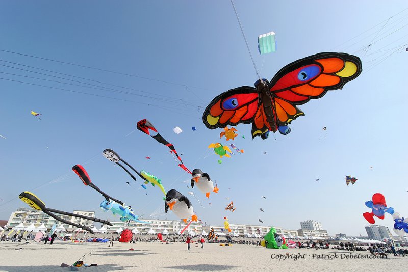 588 Cerfs volants  Berck sur Mer - IMG_3142_DxO WEB.jpg