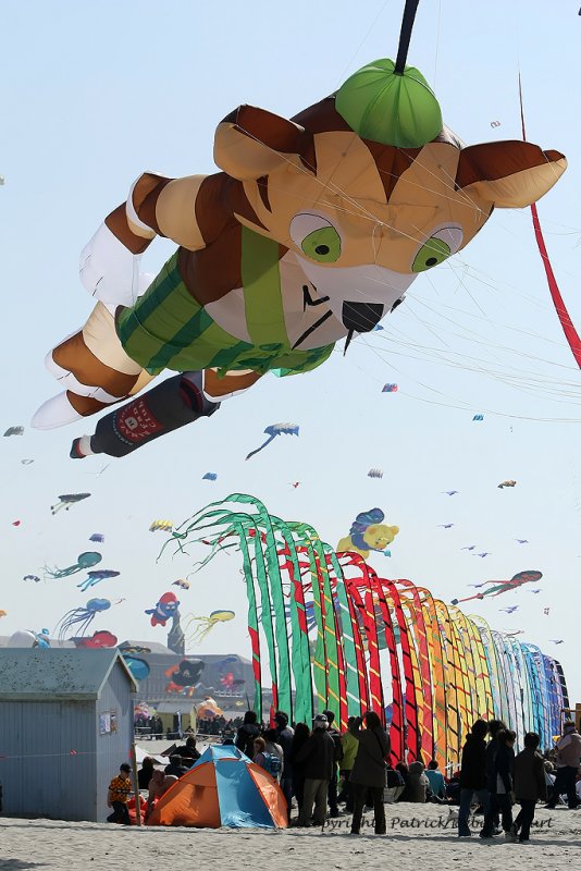 813 Cerfs volants  Berck sur Mer - MK3_8381_DxO WEB.jpg